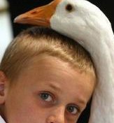 2026山西试管婴儿医院排名，附成功率及费用介绍