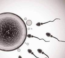 变性人能生育儿女吗？变性人做试管能成功吗？