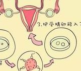 2026国内做试管婴儿的医院排名？哪家医院成功率最高？