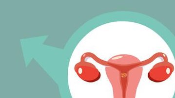 马来西亚试管婴儿需要准备多少预算？费用明细一览