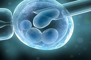 做了结扎手术可以在个旧市试管医院做试管婴儿吗？费用是多少