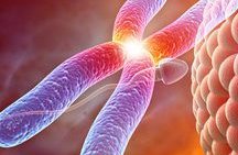 哪家泰国试管婴儿医院较好？成功率最高？去的人最多？